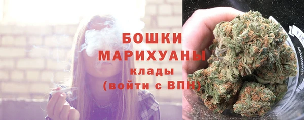 сатива Приозерск