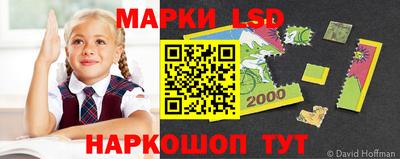 гидра Камышлов