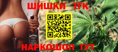 гидра Камышлов