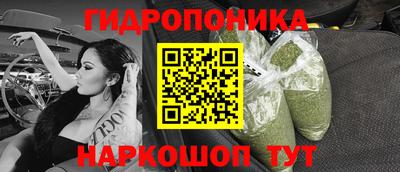 прущие грибы Канаш