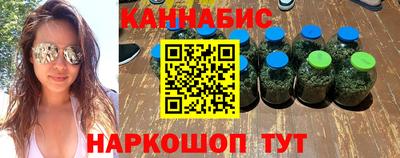 гидра Камышлов